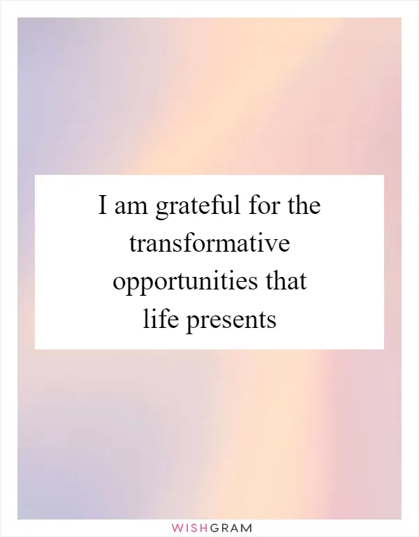 I am grateful for the transformative opportunities that life presents