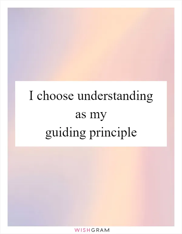 I choose understanding as my guiding principle