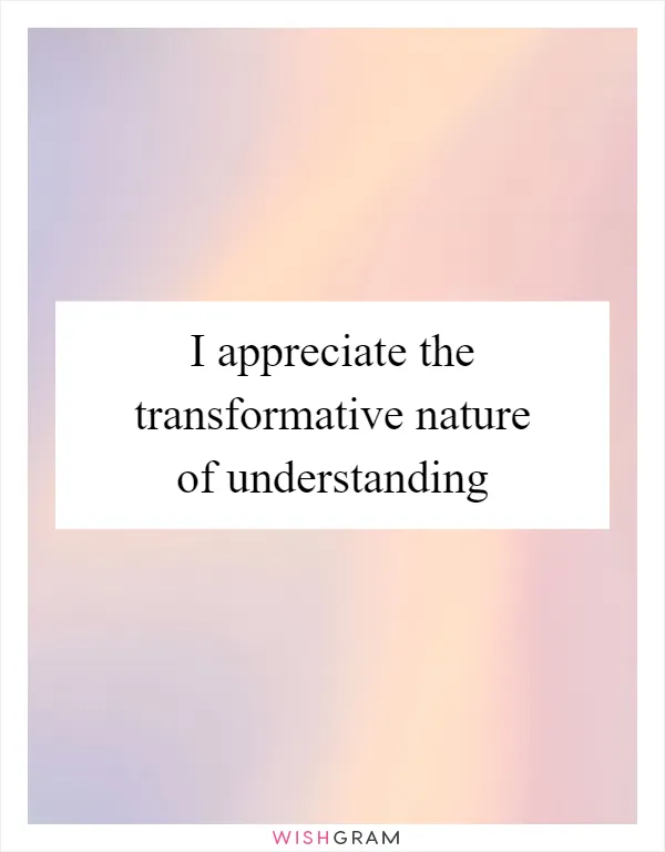 I appreciate the transformative nature of understanding