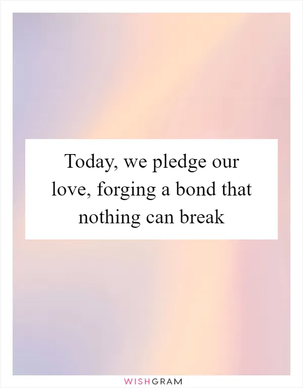 Today, we pledge our love, forging a bond that nothing can break