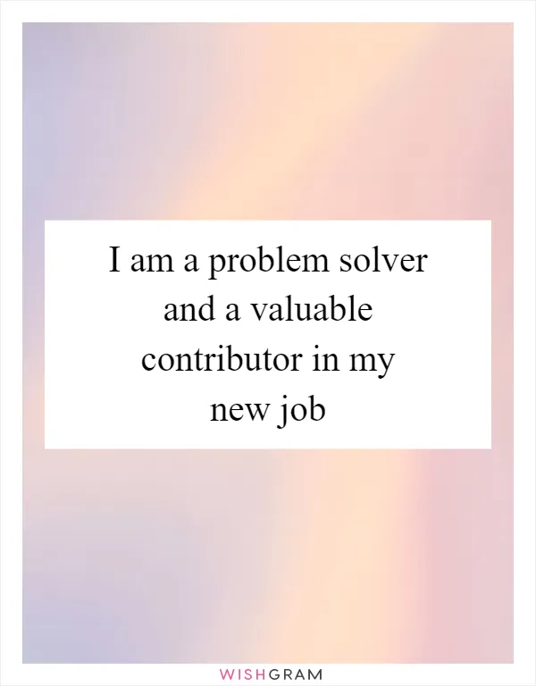 I am a problem solver and a valuable contributor in my new job