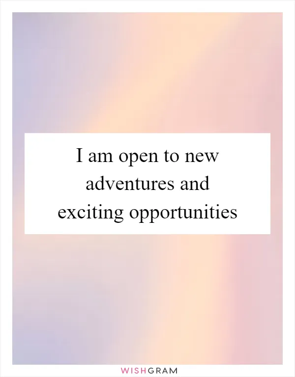 I am open to new adventures and exciting opportunities