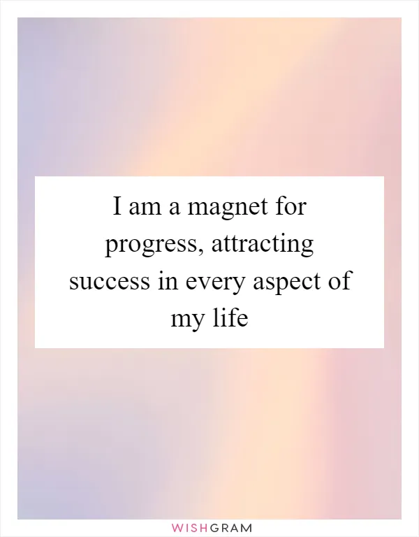 I am a magnet for progress, attracting success in every aspect of my life