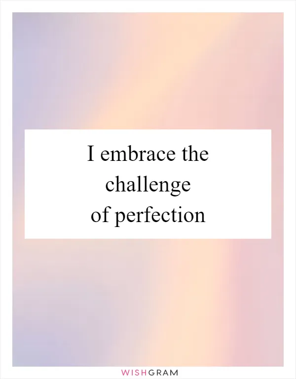 I embrace the challenge of perfection