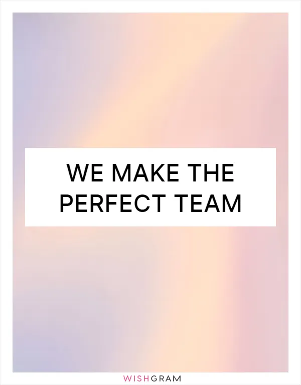 We make the perfect team