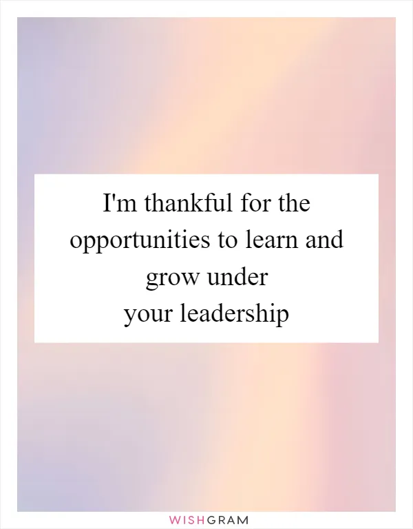 I'm thankful for the opportunities to learn and grow under your leadership