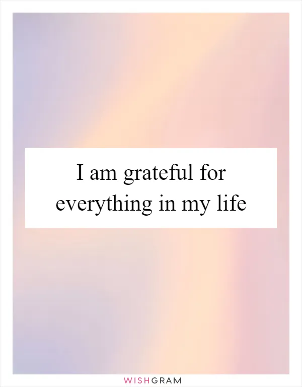 I am grateful for everything in my life