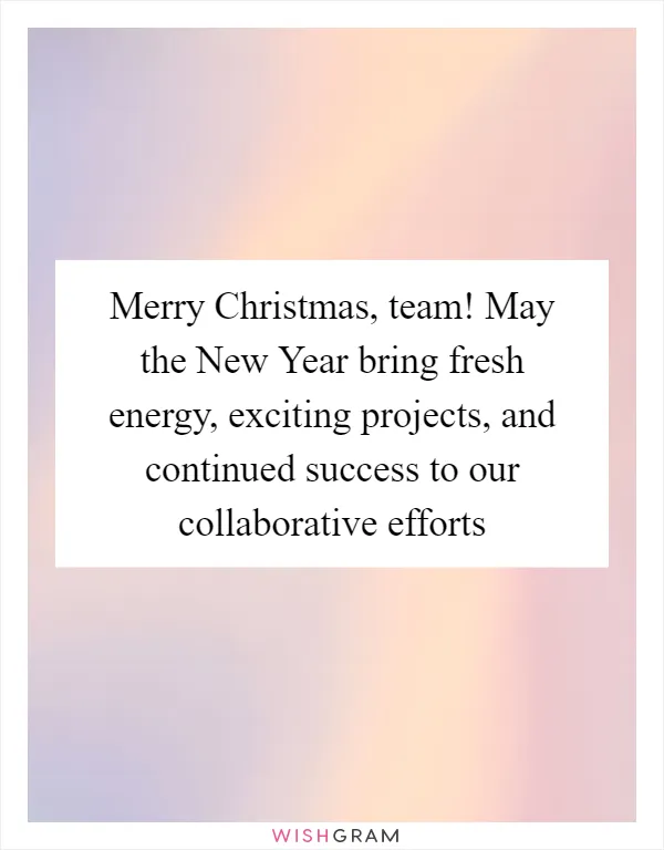 Merry Christmas, team! May the New Year bring fresh energy, exciting projects, and continued success to our collaborative efforts