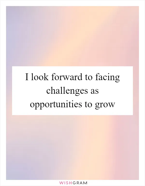 I look forward to facing challenges as opportunities to grow