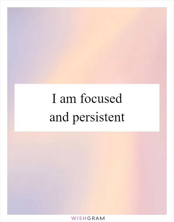 I am focused and persistent