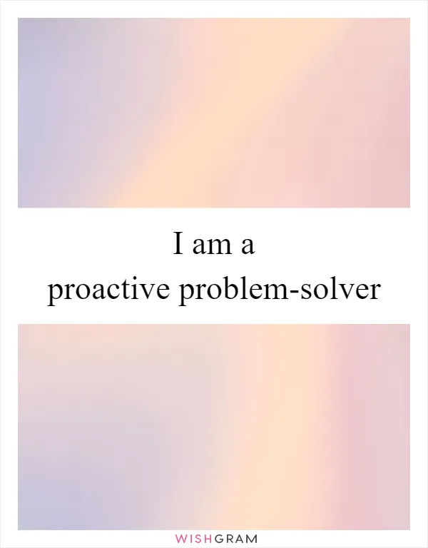 I am a proactive problem-solver
