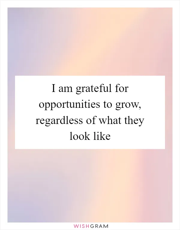 I am grateful for opportunities to grow, regardless of what they look like
