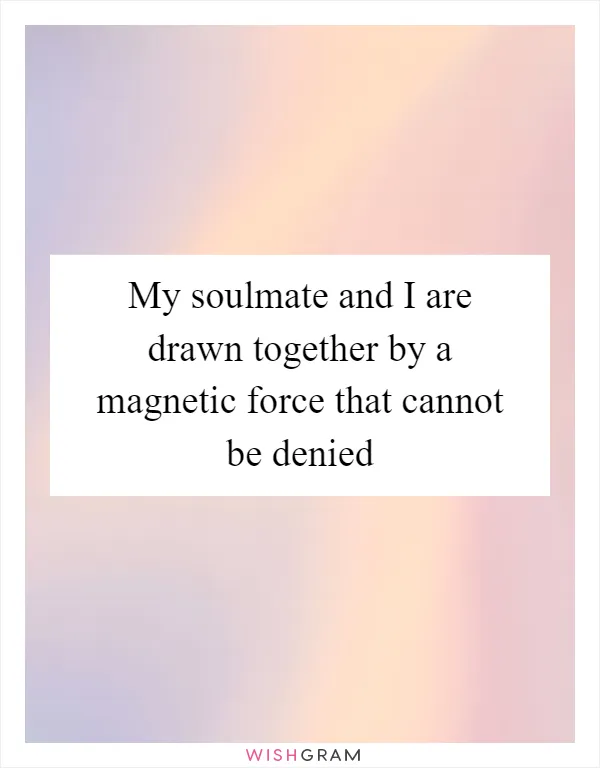 My soulmate and I are drawn together by a magnetic force that cannot be denied