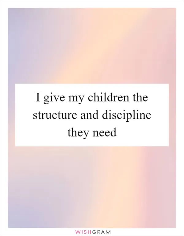 I give my children the structure and discipline they need