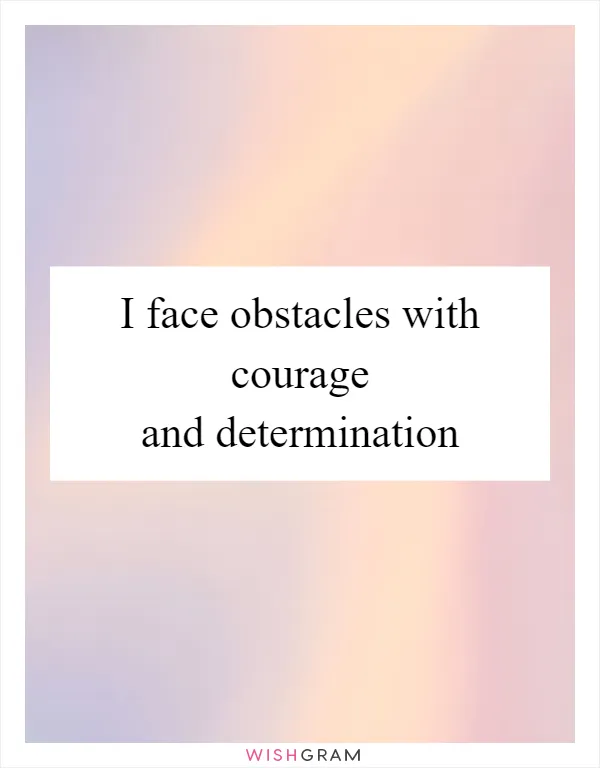 I face obstacles with courage and determination