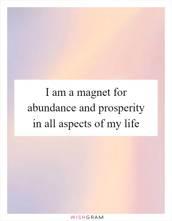 I am a magnet for abundance and prosperity in all aspects of my life