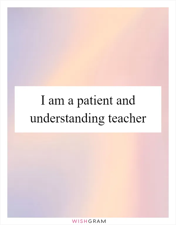 I am a patient and understanding teacher