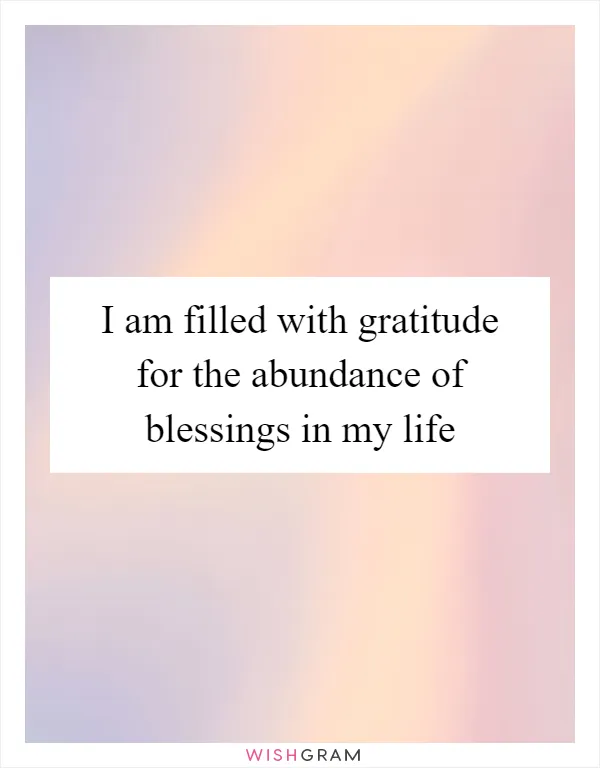 I am filled with gratitude for the abundance of blessings in my life