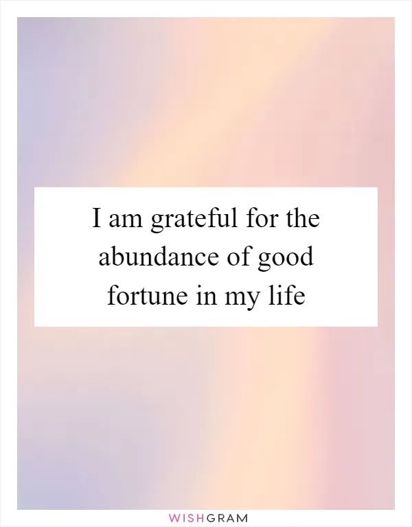 I am grateful for the abundance of good fortune in my life
