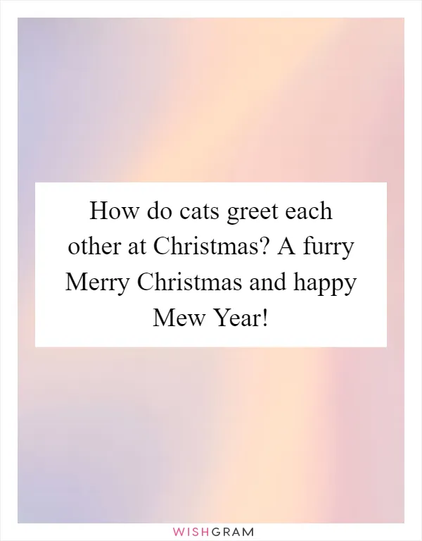 How do cats greet each other at Christmas? A furry Merry Christmas and happy Mew Year!