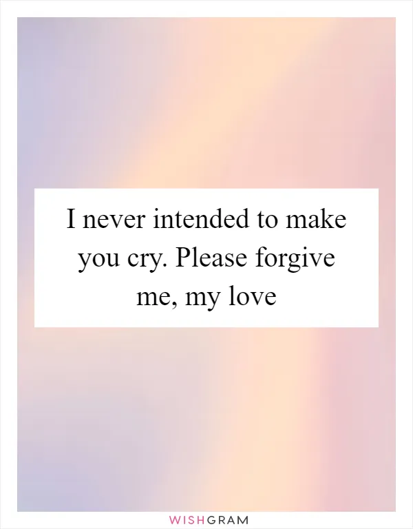 I never intended to make you cry. Please forgive me, my love