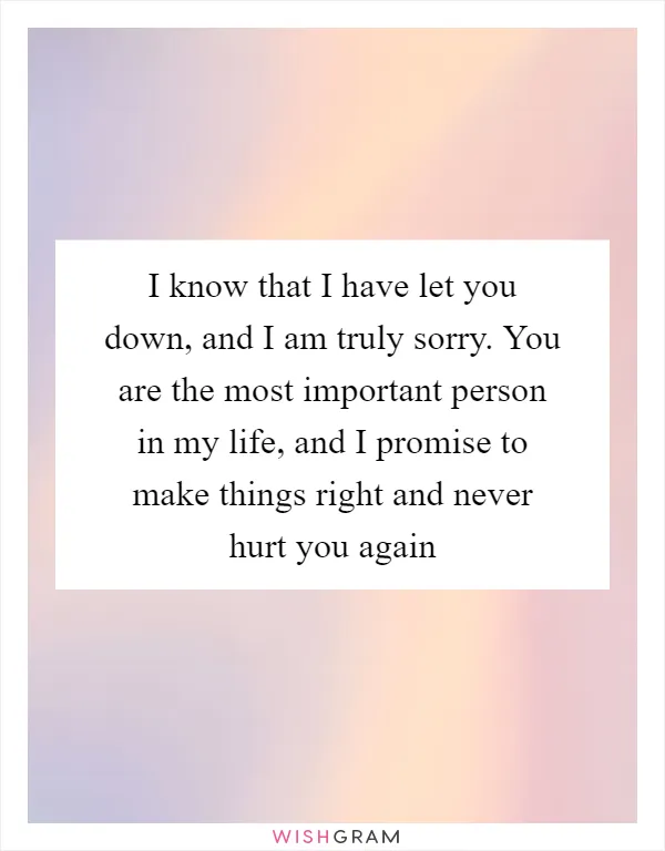I know that I have let you down, and I am truly sorry. You are the most important person in my life, and I promise to make things right and never hurt you again
