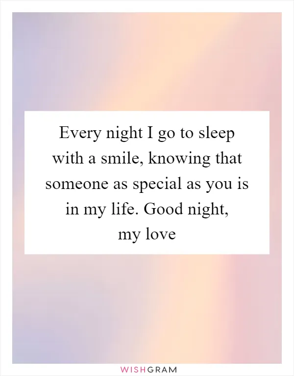 Every night I go to sleep with a smile, knowing that someone as special as you is in my life. Good night, my love
