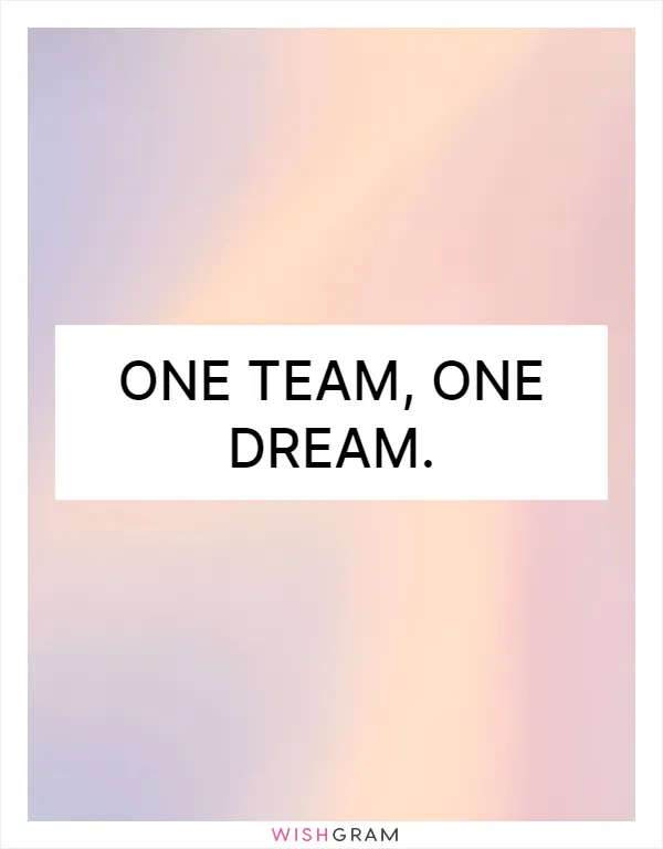 One team, one dream
