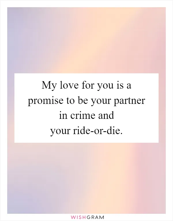 My love for you is a promise to be your partner in crime and your ride-or-die